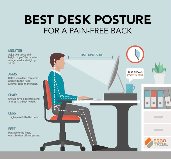A pictorial representation of the Best Office Chair for Lower Back Pain and Sciatica