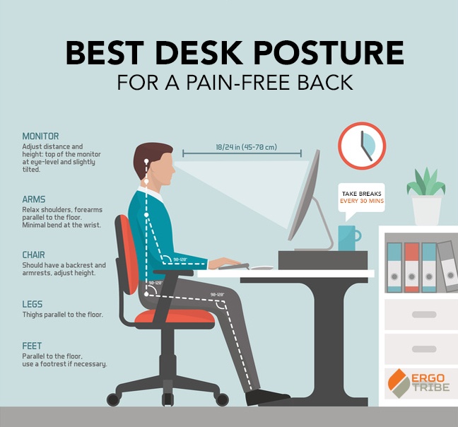 Best Office Chair for Lower Back Pain and Sciatica - Focal Allied